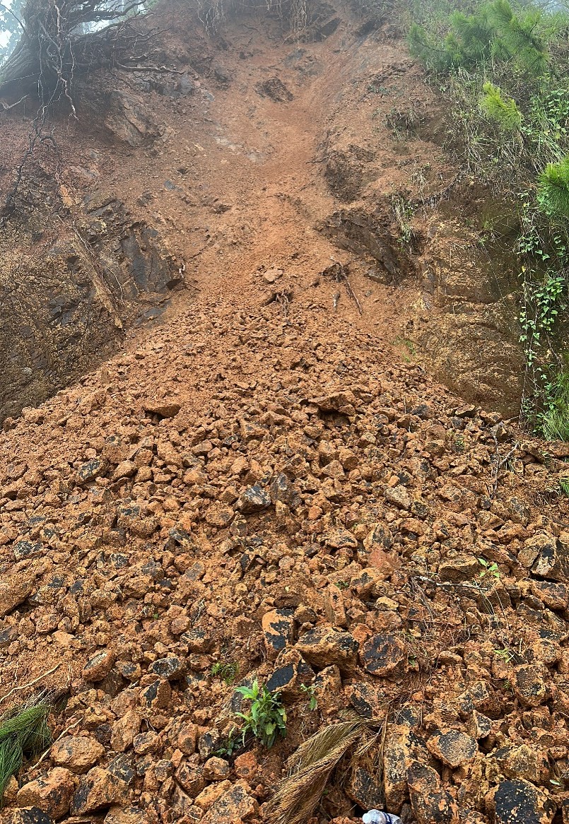 Example of a shallow mass failure at the bedrock-soil interface